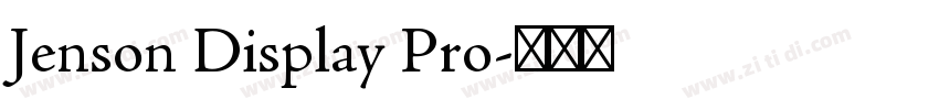 Jenson Display Pro字体转换